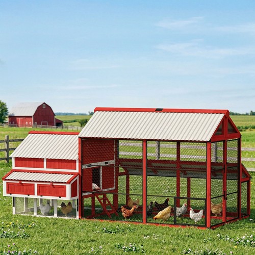 187 large chicken coop - large,