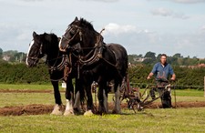 Photo 12x8 Horses and Plough - Boverton Ploughing and hedge trimming match c2010