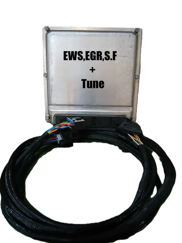 Bmw m57 standalone wiring - standalone,