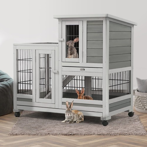 Rabbit hutch pet - house, for