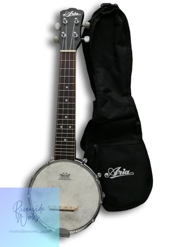 Aria acoustic instrument - acoustic,