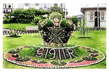 Ptc9511 yorks floral 1911 - -,
