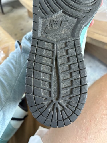 Nike dunk pro - dunk, high