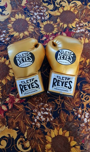 Cleto reyes traditional - traditional, fight