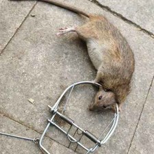 Mouse Trap Rodent Strong Catch Spring Weasel Catch Cage Mole Repeller Rat Trapt