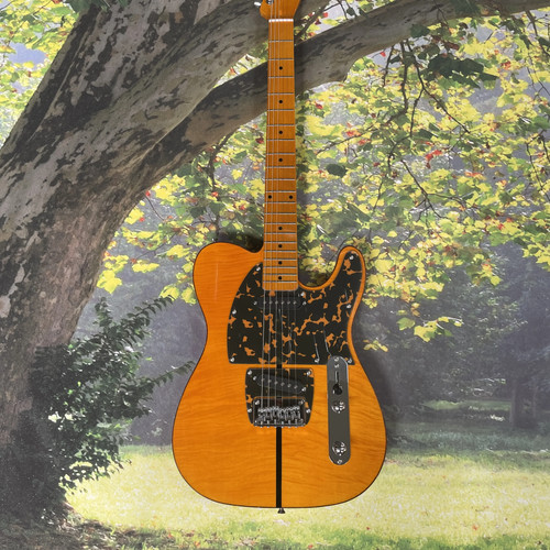 Teleelectric guitar prince - teleelectric,