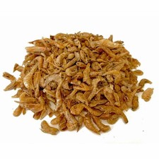 Kennedy Wild Dried Silkworm
