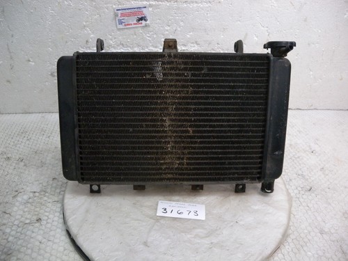 Triumph tt600 2002 radiator - triumph,