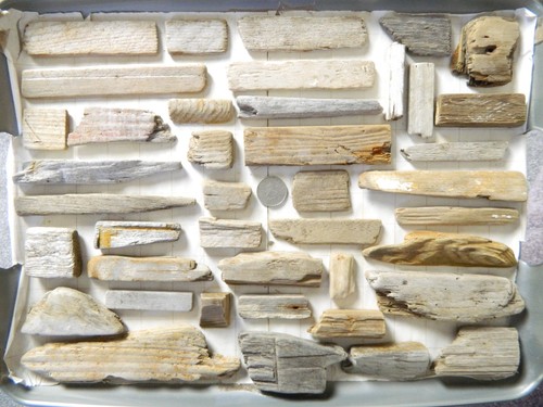 Driftwood pieces flat one - pieces,