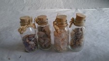 Relaxdays Seashell Bottle Beige