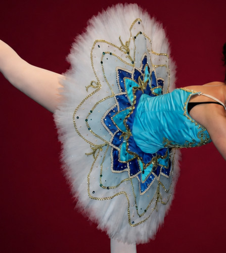 Professional platter ballet - platter,