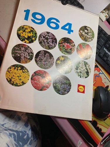 Vintage 1964 calendar - vintage, shell