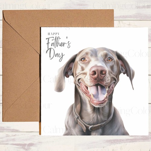 Weimaraner smiling father - smiling, |