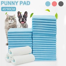 50-200PCS Large Puppy Training