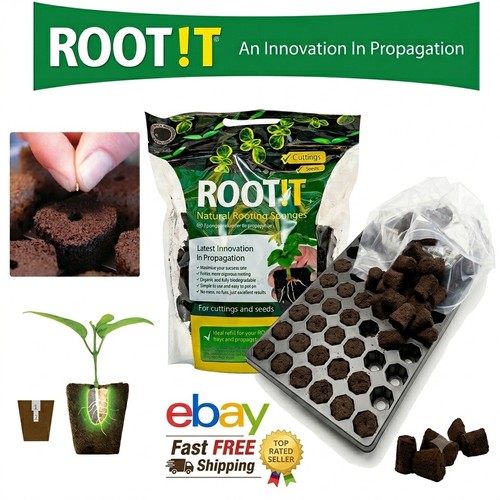 Root propagation wet - propagation,