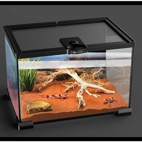 Reptile glass tank - tank, spider