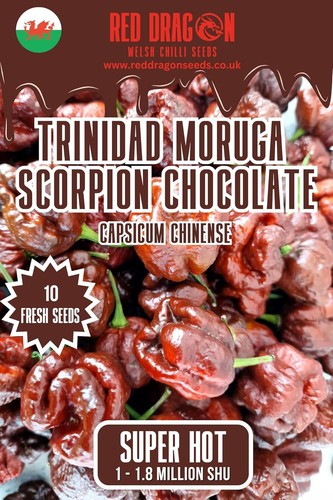 Trinidad scorpion chocolate - 10,
