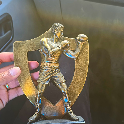 Boxing trophy gold resin - gold,