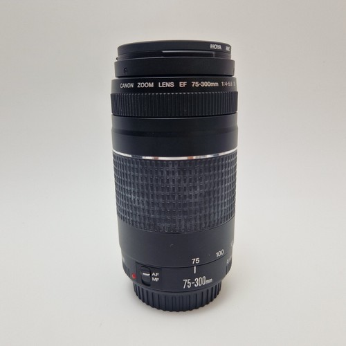 Canon 300mm 5 6 iii - 75-300mm, f/4.0-5.6