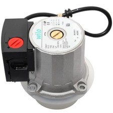 Pump Head for FEB24ED3* Morco