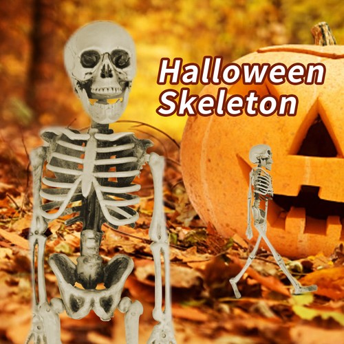 Skeleton full life size - life,