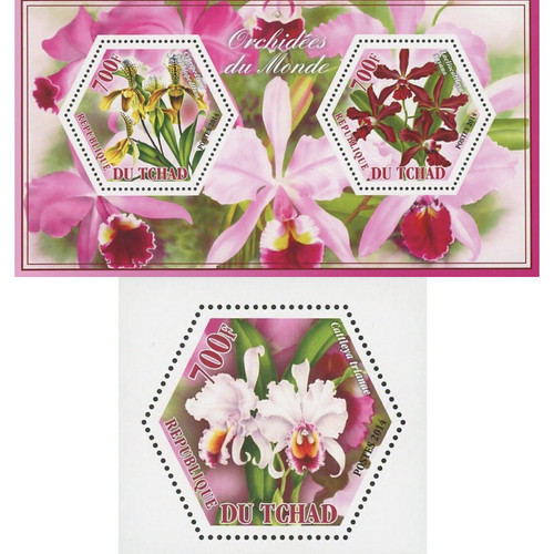 Orchid flower stamp bundle - flower,