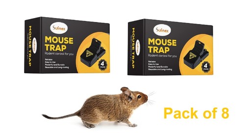 Set professional mouse - set, of