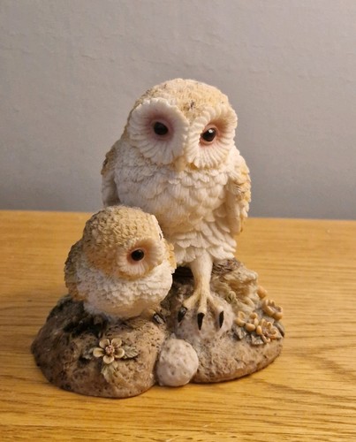 Barn owl baby - owl, regency