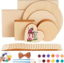 58Pcs Unfinished Blank Wood