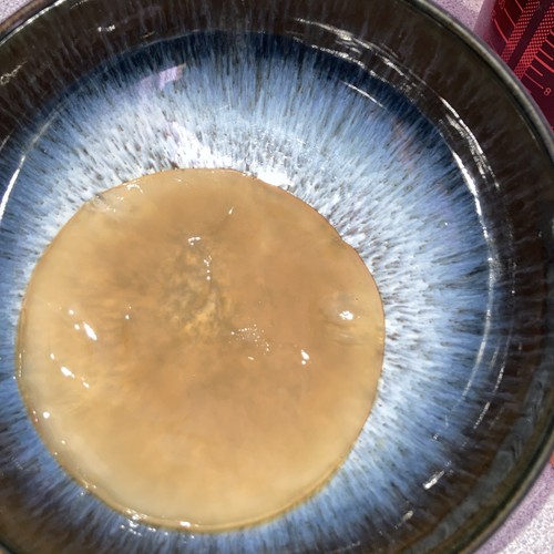 Kombucha starter scoby - scoby, black