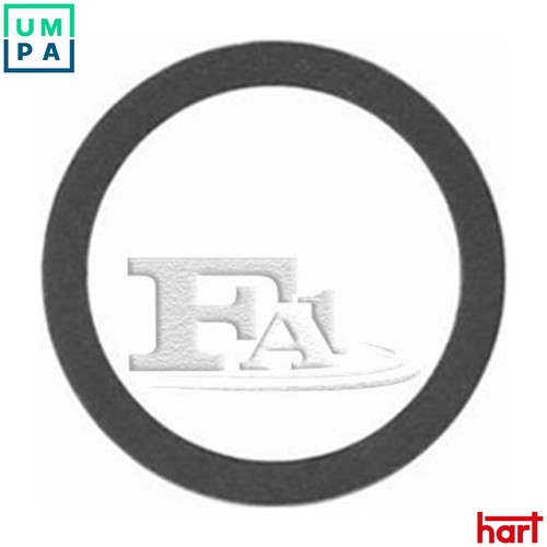 Gasket exhaust pipe - pipe, 702