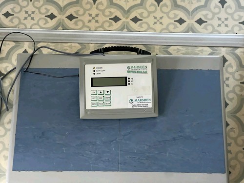 Marsden pro weighting scales