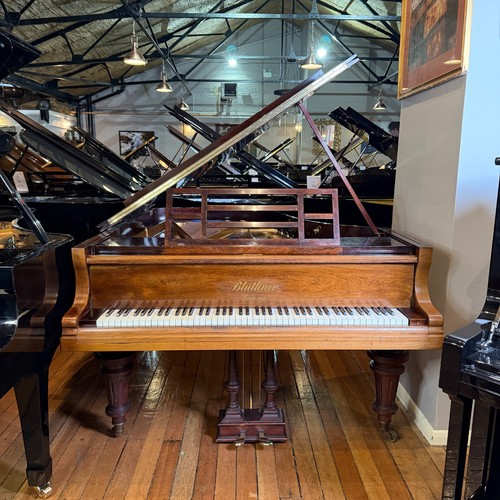 Bluthner style grand piano - style, 9