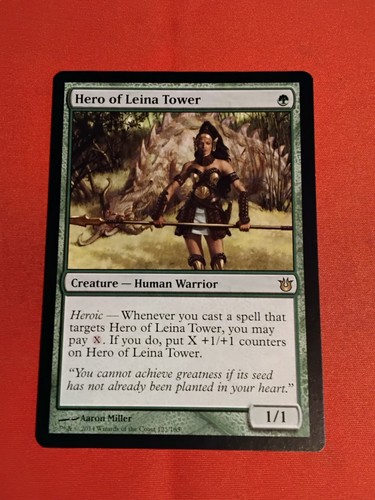 Hero leina tower born of - hero,