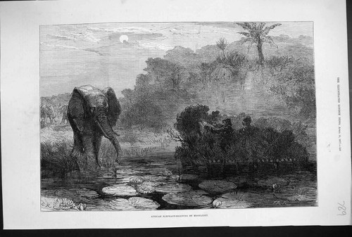 Original old antique print - old,