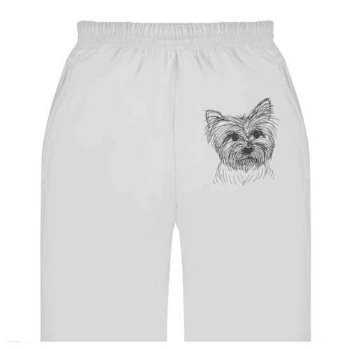 Yorkshire terrier adult - terrier',
