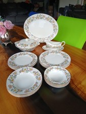 19 Pc Vintage Myott Praire Rose Dinner Set (4 Place setting)