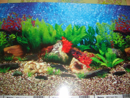 Vinyl aquarium fish tank - vinyl,