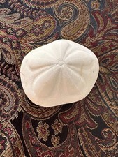 Sea Urchin Bisquit Puffy Sand