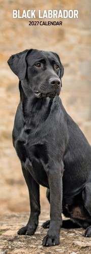 Labrador black 2027 slim - labrador,