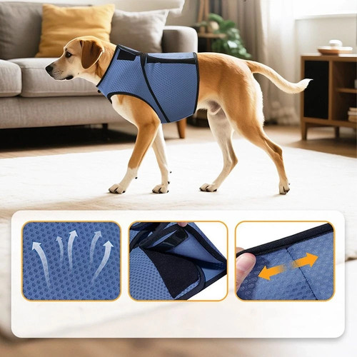 Dog anxiety jacket vest - anxiety,