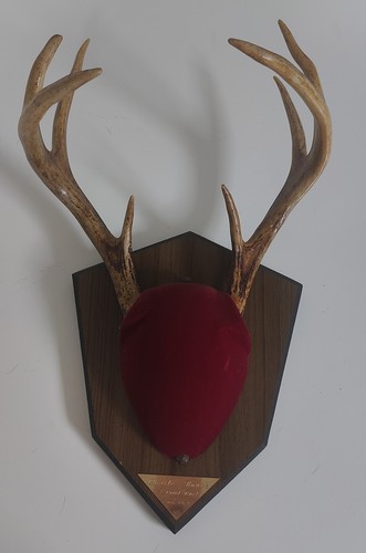 Vintage 1974 mounted point - 8,