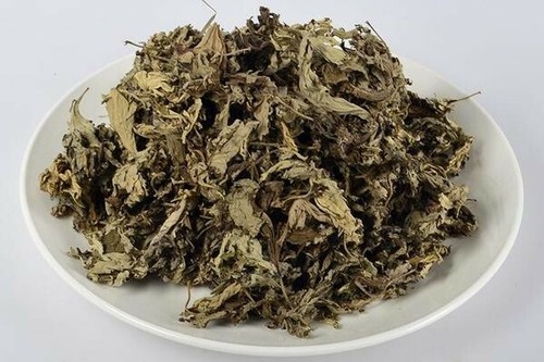Mugwort herb - ai,