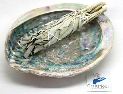 White sage smudge - +, large