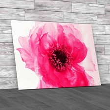 Exquisite Peony Flower Closeup Captivating Blossom Pink Canvas Print Large