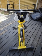 trixter exercise bike 