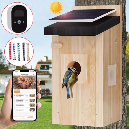 Smart bird house with camera - bird,