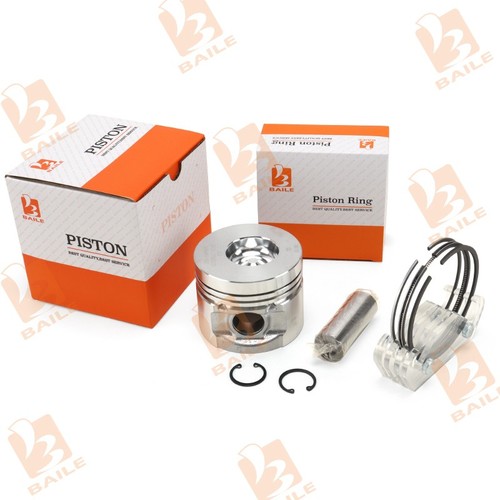 Piston with ring - with,