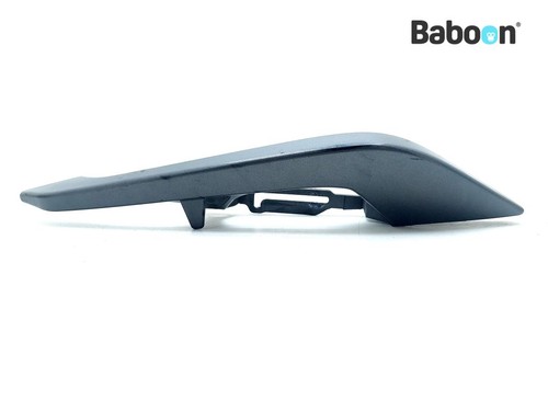 Grab bar right pillion - (pillion,