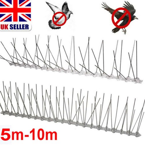 10m pigeon bird spikes - 10m,
